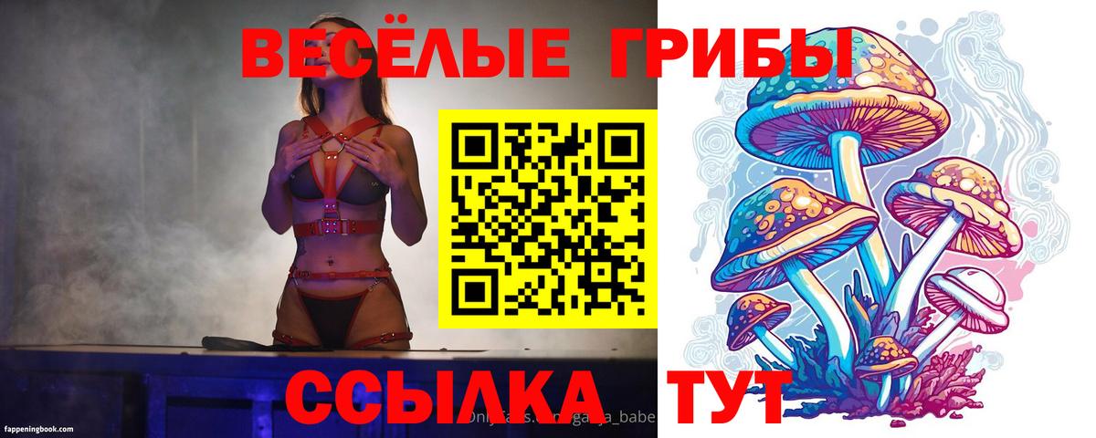 Псилоцибиновые грибы Cubensis  Вход с VPN  закладка  Железногорск 